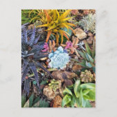 Lebhafter, üppiger Garten Postkarte (Vorderseite)