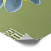 Lebhafter Vogel am Zweig Poster (Ecke)