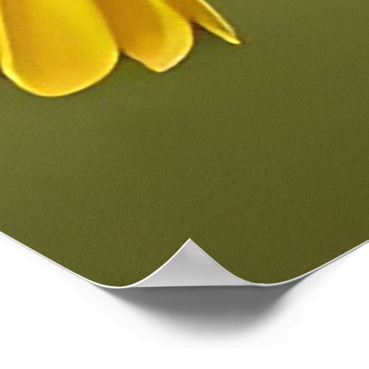 Lebhafter Vogel am Zweig Poster (Ecke)