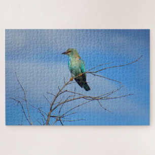 lebhafter Vogel Puzzle