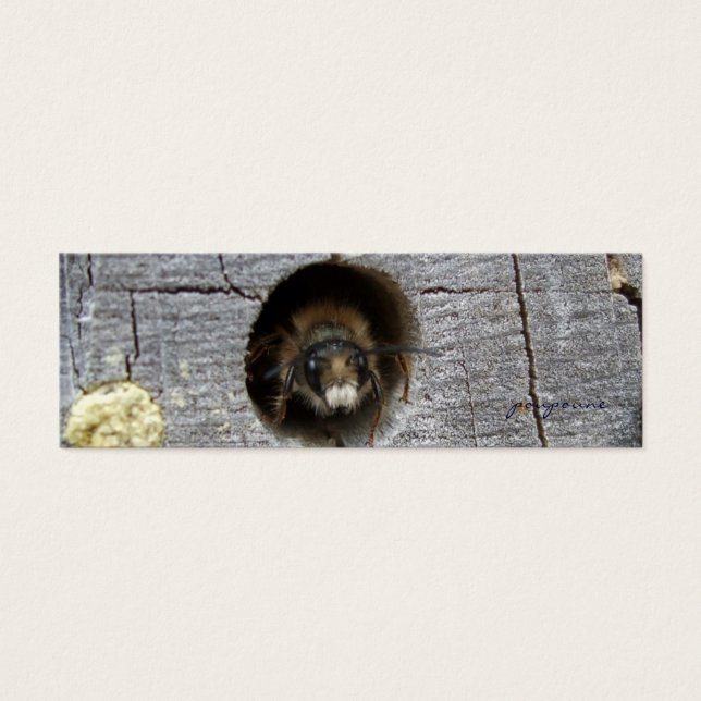 lebhaftes Bienensterben-Lesezeichen (Vorderseite)