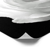 lebhaftes Foto mit schwarz-weißem Blumenmotiv Poster (Ecke)
