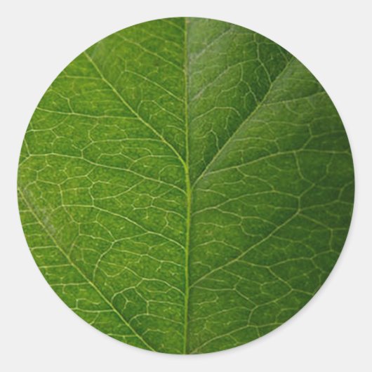Lebhaftes Green Leaf Round Sticker - Nature's Beau (Vorderseite)