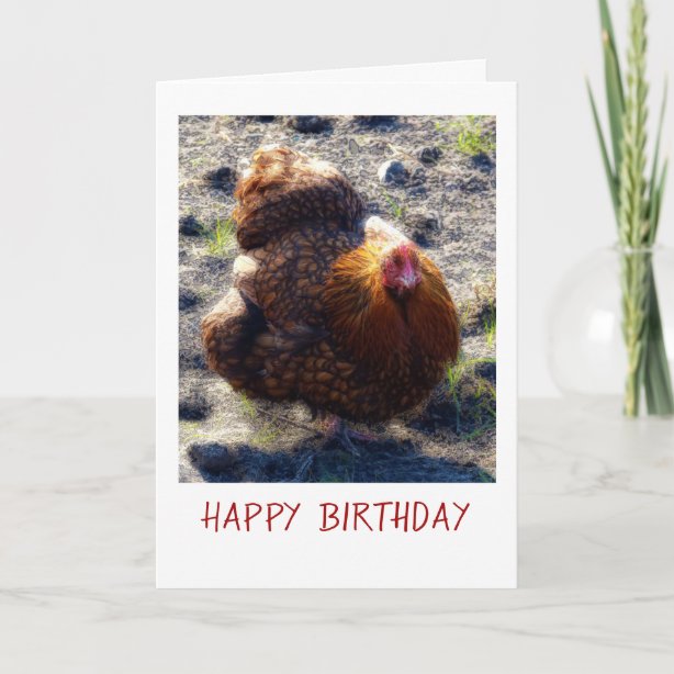 Huhn Karten Zazzle.de