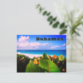 Lebhaftes, individuelles tropisches Ziel Postkarte (Stehend Vorderseite)