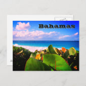 Lebhaftes, individuelles tropisches Ziel Postkarte (Vorne/Hinten)