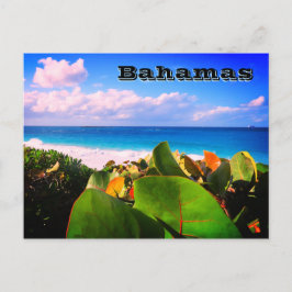 Lebhaftes, individuelles tropisches Ziel Postkarte