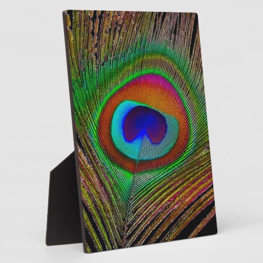 Lebhaftes Kupfer Peacock Feather Fotoplatte (Seite)