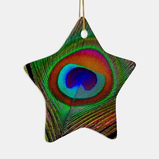 Lebhaftes Kupfer Peacock Feather Keramikornament (Rechts)