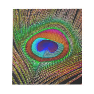 Lebhaftes Kupfer Peacock Feather Notizblock