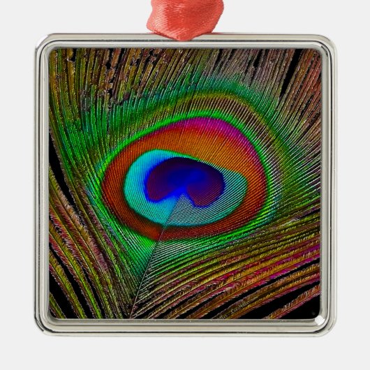 Lebhaftes Kupfer Peacock Feather Ornament Aus Metall (Vorne)