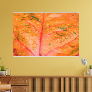 Lebhaftes Leaf-Capturing von Lover-Bildern für die Leinwanddruck