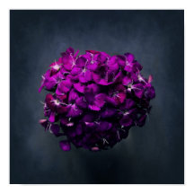 Lebhaftes Lila florales Foto