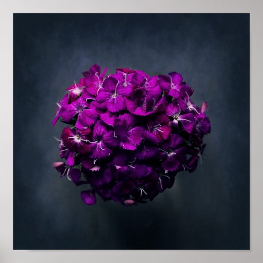 Lebhaftes Lila florales Foto Poster (Vorne)