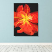 Lebhaftes Orange Begonia Macro Leinwanddruck (Insitu (Holzboden))