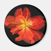 Lebhaftes Orange Begonia Macro Magnet (Vorne)