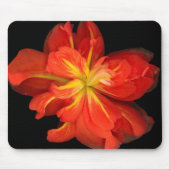 Lebhaftes Orange Begonia Macro Mousepad (Vorne)