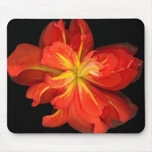 Lebhaftes Orange Begonia Macro Mousepad (Vorne)