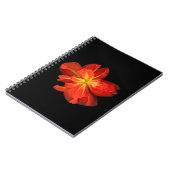 Lebhaftes Orange Begonia Macro Notizblock (Linke Seite)