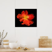 Lebhaftes Orange Begonia Macro Poster (Küche)