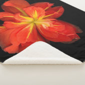 Lebhaftes Orange Begonia Macro Sherpadecke (3/4)