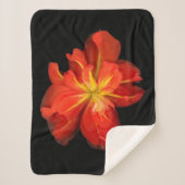 Lebhaftes Orange Begonia Macro Sherpadecke (Vorderseite)