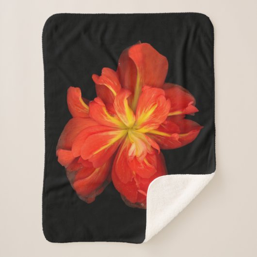 Lebhaftes Orange Begonia Macro Sherpadecke (Vorderseite)