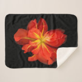 Lebhaftes Orange Begonia Macro Sherpadecke (Vorderseite (Horizontal))