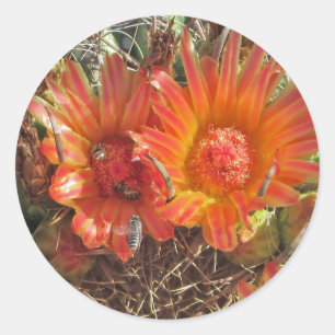 Lebhaftes Orange Cactus Bloom mit Bienen-Foto Runder Aufkleber