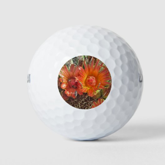 Lebhaftes Orange Cactus Blume Nah-up Foto Golfball (Vorderseite)