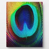 Lebhaftes Peacock Feather Fotoplatte (Vorderseite)