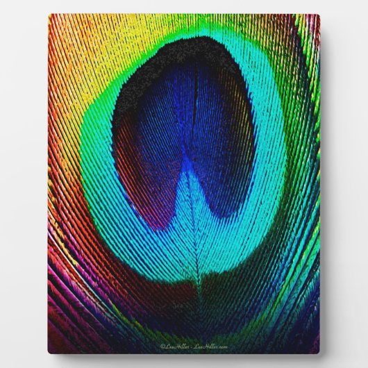 Lebhaftes Peacock Feather Fotoplatte (Vorderseite)