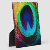 Lebhaftes Peacock Feather Fotoplatte (Seite)