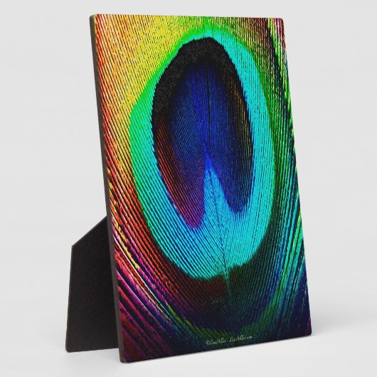 Lebhaftes Peacock Feather Fotoplatte (Seite)