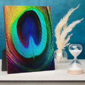 Lebhaftes Peacock Feather Fotoplatte (Seite)