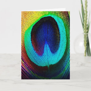 Lebhaftes Peacock Feather Karte