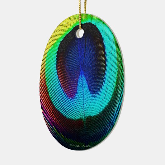 Lebhaftes Peacock Feather Keramik Ornament (Links)