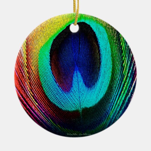 Lebhaftes Peacock Feather Keramikornament (Vorne)