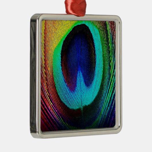 Lebhaftes Peacock Feather Silbernes Ornament (Rechts)