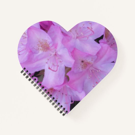 Lebhaftes rosa BlumenNotebook Notizblock (Vorderseite)