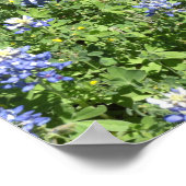 Lebhaftes Texas Bluebonnet Wall Poster (Ecke)
