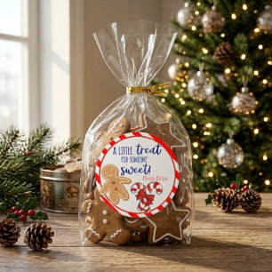 Lebkuchen-Zuckerrohr-Weihnachts-Leckerei-Anhänger Runder Aufkleber