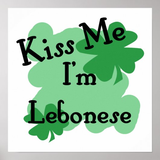 Lebonese Poster (Vorne)