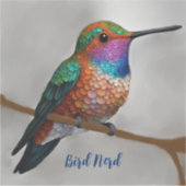 Lebt Allen's Hummingbird Aufkleber (Vorderseite)