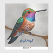 Lebt Allen's Hummingbird Aufkleber (Blatt)
