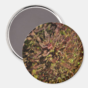 Lecker, lecker...... magnet