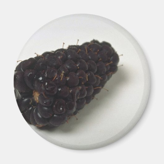 Leckere Brombeere Magnet (Vorne)