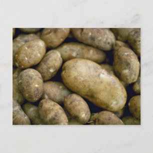 Leckere Kartoffeln Postkarte