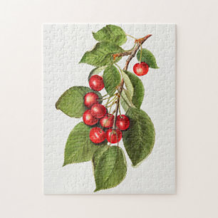 Leckere rote Kirschen Obst Aquarellmalerei Puzzle