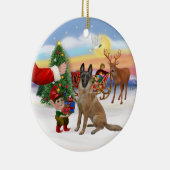 Leckerei - Belgisch Malinois Keramikornament (Rechts)